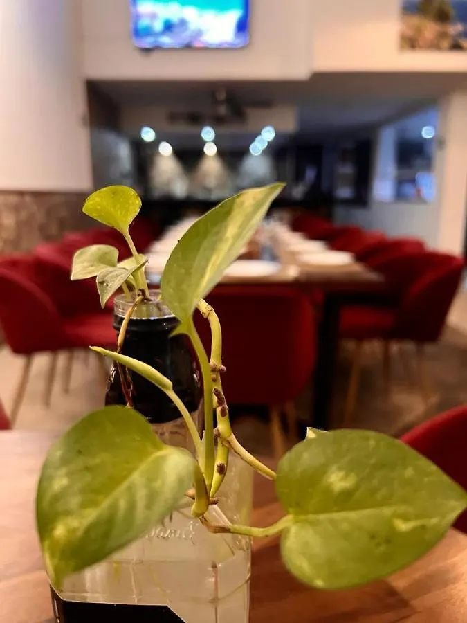 Deluxe Condos 42 Πλάγια Ντελ Κάρμεν Bed and Breakfast