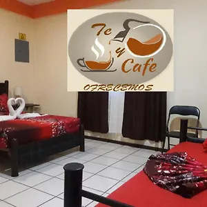 Alme Auberge de jeunesse Playa del Carmen